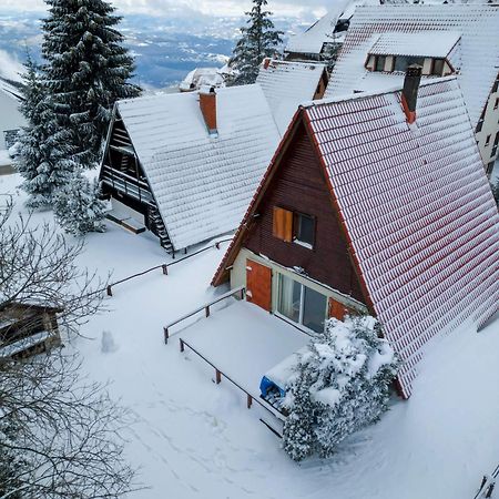 Villa Teodora Копаоник Экстерьер фото